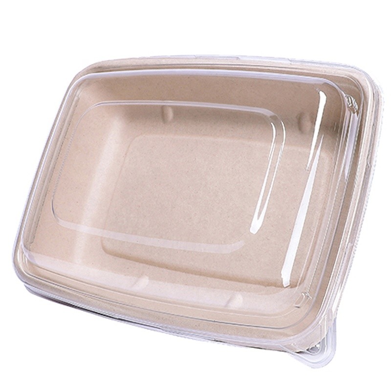 https://ecomart.qa/33-large_default/30-oz-rectangle-sugarcane-container-with-clear-lid.jpg